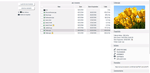 dropCloud file storage module